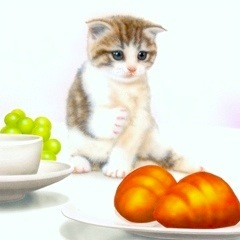 �q�L�̊G�F�O�b�I���[�j���b�I�I