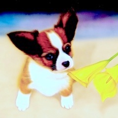 �q���̊G�FFor My Honey -Love again-