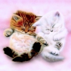 �q�L�̊G�FAlways together