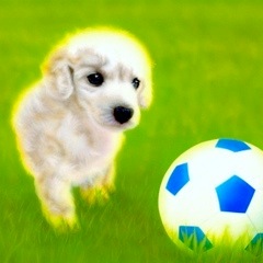 �q���̊G�FLet's play sports !!