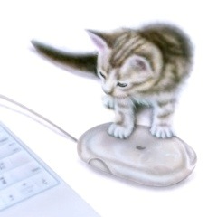 �q�L�̊G�F�˂��ݕ߂܂����I