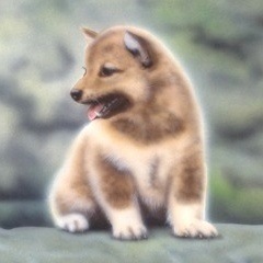 �q���̊G�F�����̒�