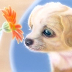 �q���̊G�F�u�R�����Ă��������́H�v