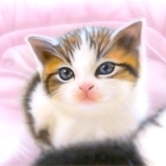 �q�L�̊G�F�u�O�o�O�v�i�}���`�J��2�j