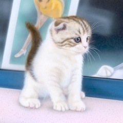 �q�L�̊G�F�˂��ƃn�C�q�[�� -2004 version-