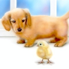 �q���̊G�FHappy !! -2005 version-