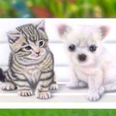 �q���̊G�F�A���`��