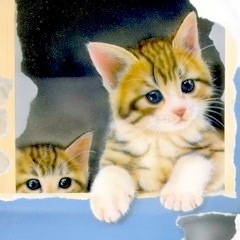 �q�L�̊G�FSECRET BASE �`�ڂ������̂Ђ݂����`