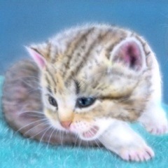 �q�L�̊G�F�u�Ȃ񂾂悧�B�v