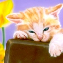 �q�L�̊G�FI Love Chocolate !!�i�`���R��D���I�j