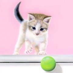 �q�L�̊G�FFallin' Ball