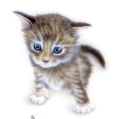 �q�L�̊G�FGift of Love