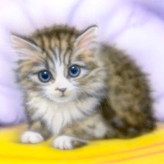 �q�L�̊G�F�������q�B�e��^�v�[�l