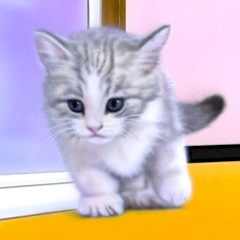 �q�L�̊G�FCurious kitten �`�q�L�̍D��S�`