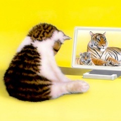 �q�L�̊G�FFuture Vision -version 2.1-