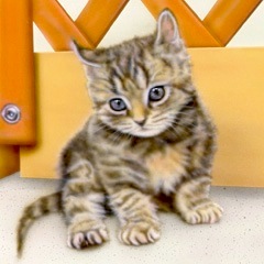 �q�L�̊G�F���ł��Ȃ����ʂ̈��