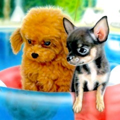 �q���̊G�FHappy Horiday