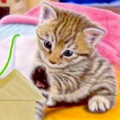 �q�L�̊G�FTonight is Christmas!