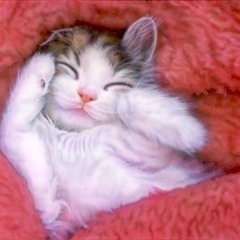 �q�L�̊G�Fapril_forestcat