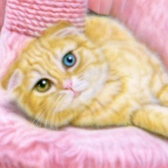 �q�L�̊G�FB.K.S.N:�X�R�e�B�b�V���E�I�b�h�A�C