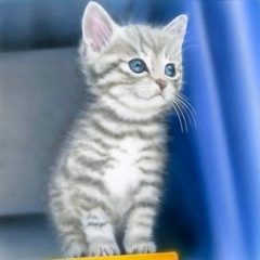 �q�L�̊G�Fguresuke����