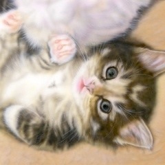 �q�L�̊G�Fkutsee: marron�i�}�����j�����