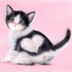 �q�L�̊G�F�u�n�[�g�͗l�̎q�L�vB.K.S.N:Hachiware Heart