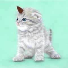 �q�L�̊G�F��ɂ��2�F�`���̃��j���R�[���l�ɓ����ɂ�񂱁B