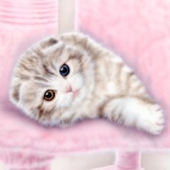 �q�L�̊G�F�X�R�e�B�b�V���E�I�b�h�A�C Version 2