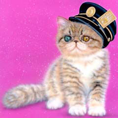 �q�L�̊G�^�G�b�F�w���`�b�N�V���[�g�w�A