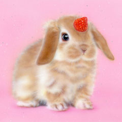 �������̊G�^���j�s���[���F�ꍆ�i�e�Ɋp�F�̂������j