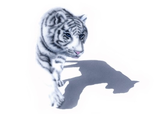 �z���C�g�^�C�K�[�̊G�^�����z���C�g�^�C�K�[