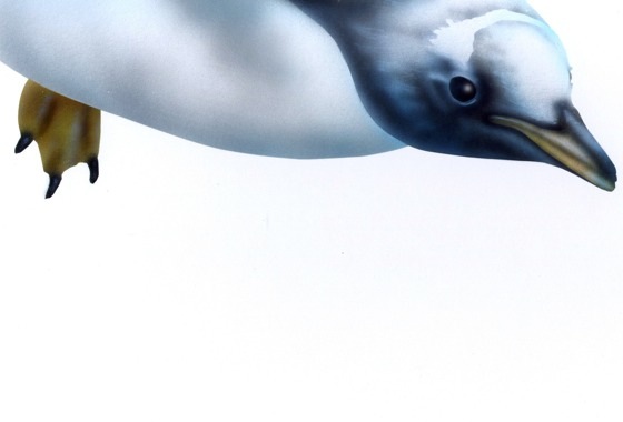 �y���M���̊G�^Lion�F�����Ă�y���M��