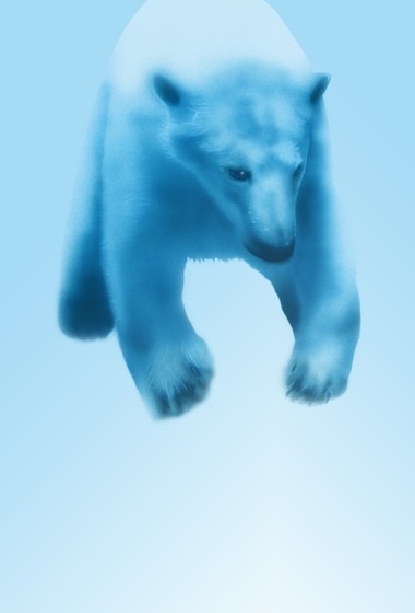 �z�b�L���N�O�}�i�V���N�}�j�̊G�F�C���̃z�b�L���N�O�}