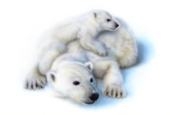 �z�b�L���N�O�}�i�V���N�}�j�̊G�^Lion�F�z�b�L���N�O�}�e�q�i�Ȃ��悵�j