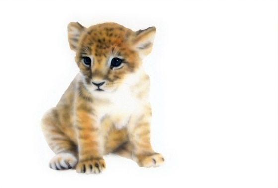 ���C�I���̊G�^Lion�F������肷�郉�C�I���̐Ԃ����