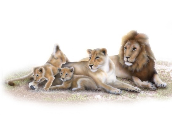 ���C�I���̊G�^Lion�F���C�I���t�@�~���[