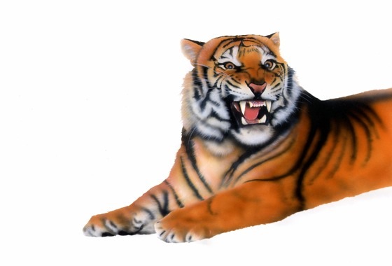 �x���K���^�C�K�[�̊G�^Bengal Tiger�F�i����x���K���^�C�K�[�^Bengal Tiger