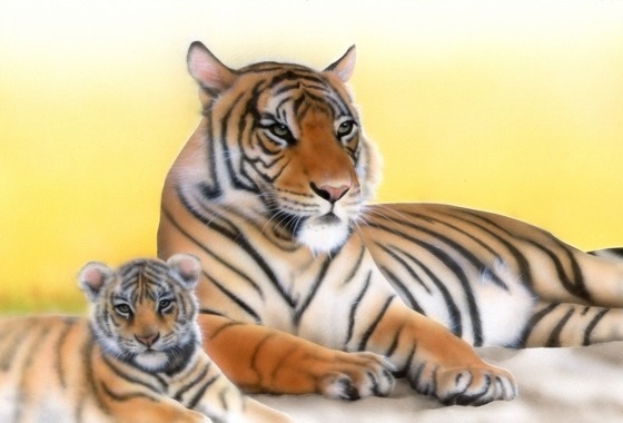 �x���K���^�C�K�[�̊G�^Bengal Tiger�F�x���K���^�C�K�[�e�q�^Bengal Tiger