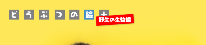 �ǂ��Ԃ̊G�{[�쐶�̐�����]ENTER ������ł��I�I