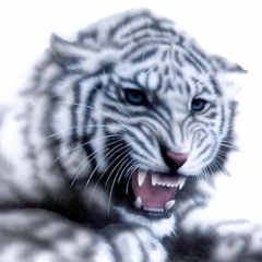 �z���C�g�^�C�K�[�̊G�^White Tiger�F�i����z���C�g�^�C�K�[