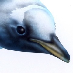 �y���M���̊G�^Penguin�F�����Ă�y���M��