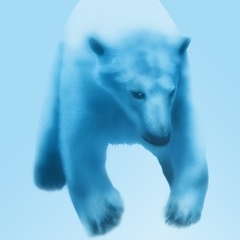 �z�b�L���N�O�}�i�V���N�}�j�̊G�^Polaer Bear�F�C���̃z�b�L���N�O�}