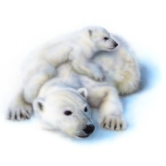 �z�b�L���N�O�}�i�V���N�}�j�̊G�^Polaer Bear�F�z�b�L���N�O�}�e�q�i�Ȃ��悵�j