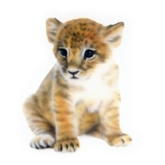 ���C�I���̊G�^Lion�F������肷�郉�C�I���̐Ԃ����