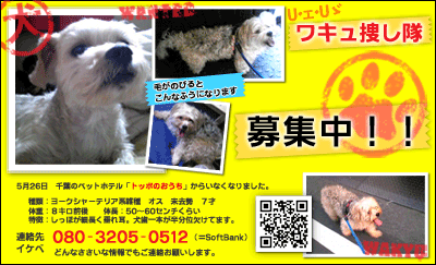 ���L���{����