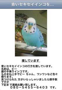 �s�[�����{���Ă��܂��F�|�X�^�[